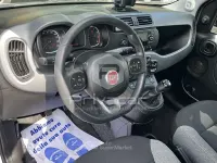 Usata Fiat Panda City Life 84 CV (61 kW) 2021 Gray Utilitaria