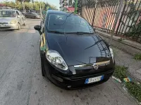 Usata Fiat Punto Evo Dynamic 77 CV (56 kW) 2010 Utilitaria