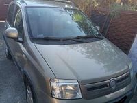 Usata Fiat Panda Cross 77 CV (56 kW) 2011 Bronzo Utilitaria