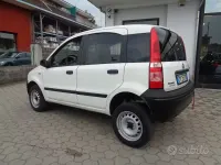Usata Fiat Panda 4x4 Dynamic 60 CV (44 kW) 2008 Bianco Utilitaria