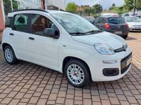 usata Fiat Panda 1.2 Easy Aziendale Italia 50.000 KM