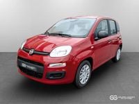 Nuova Fiat Panda Icon 69 CV (50 kW) 2025 Rosso passione pastello rosso passione pastello Utilitaria