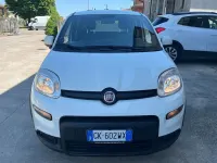 Usata Fiat Panda Sport 69 CV (50 kW) 2022 Bianco Utilitaria