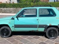 Usata Fiat Panda 4x4 Trekking 54 CV (39 kW) 2000 Verde Utilitaria