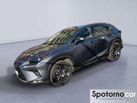 Usata Lexus NX300h Business Edition 197 CV (144 kW) 2020 Grigio SUV