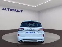 Usata Ford Kuga ST-Line 190 CV (139 kW) 2023 Bianco SUV