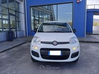 Usata Fiat Panda Easy 85 CV (62 kW) 2018 Bianco Utilitaria