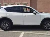 Usata Mazda CX-5 165 CV (121 kW) 2020 Bianco SUV