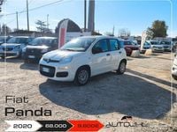 Usata Fiat Panda Easy 69 CV (50 kW) 2020 Bianco Utilitaria