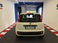 Usata Fiat Panda 69 CV (50 kW) 2019 Gelato Utilitaria