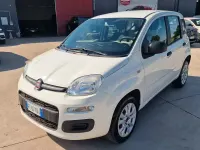 Usata Fiat Panda Lounge 80 CV (58 kW) 2016 Bianco Utilitaria