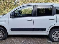 Usata Fiat Panda Trekking 75 CV (55 kW) 2015 Utilitaria