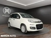 Usata Fiat Panda Easy 69 CV (50 kW) 2016 Bianco Utilitaria