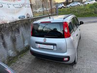 Usata Fiat Panda Lounge 69 CV (50 kW) 2019 Grigio Utilitaria
