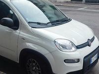 Usata Fiat Panda 70 CV (51 kW) 2024 Bianco Utilitaria