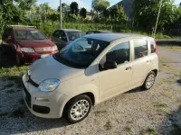 Usata Fiat Panda Easy 69 CV (50 kW) 2017 Bianco Utilitaria