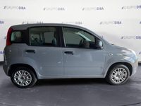 usata Fiat Panda 2016 Benzina 1.2 Lounge easypower Gpl 69cv my19