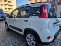 usata Fiat Panda Cross 1.0 FireFly S&S Hybrid City usato