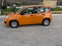 Usata Fiat Panda Connect 69 CV (50 kW) 2020 Arancione Utilitaria