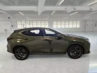 Usata Lexus NX350h 190 CV (139 kW) 2023 Verde SUV