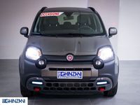 usata Fiat Panda Cross Cross 1.0 FireFly S&S Hybrid del 2023 usata a San Paolo d'Argon