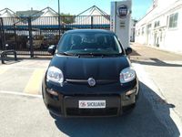 usata Fiat Panda 1.0 70CV FireFly S&S Hybrid