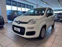 Usata Fiat Panda S 70 CV (51 kW) 2025 Bianco Utilitaria