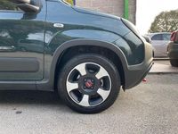 Usata Fiat Panda Cross Cross 70 CV (51 kW) 2024 Verde Utilitaria