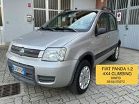 Usata Fiat Panda 4x4 Climbing 59 CV (43 kW) 2007 Argento Utilitaria