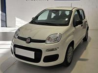 Nuova Fiat Panda Icon 69 CV (50 kW) 2025 Bianco Utilitaria
