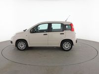 Usata Fiat Panda Easy 70 CV (51 kW) 2017 Beige Utilitaria