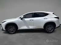 Usata Lexus NX350h 190 CV (139 kW) 2023 Bianco SUV