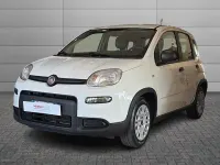 Usata Fiat Panda S 69 CV (50 kW) 2024 Bianco Utilitaria