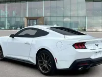 Usata Ford Mustang Fastback 318 CV (233 kW) 2024 Bianco pastello