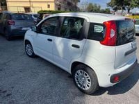 Nuova Fiat Panda Icon 69 CV (50 kW) 2025 Bianco Utilitaria