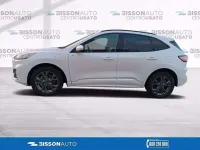 Usata Ford Kuga ST-Line 152 CV (111 kW) 2021 Bianco SUV