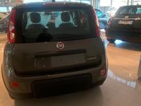 usata Fiat Panda 1.0 FireFly S&S Hybrid