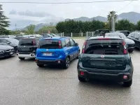 Usata Fiat Panda Cross Cross 69 CV (50 kW) 2025 Blu Utilitaria