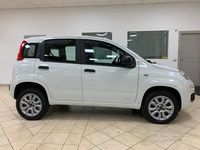 Usata Fiat Panda Easy 70 CV (51 kW) 2019 Bianco Utilitaria