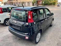 usata Fiat Panda 1.2 69CV Lounge - 2013