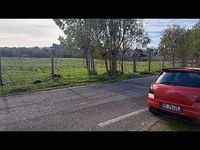 Usata Suzuki Swift GL 125 CV (91 kW) 2008 Rosso Utilitaria