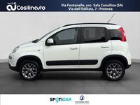 Usata Fiat Panda 4x4 S 95 CV (69 kW) 2017 Bianco Utilitaria