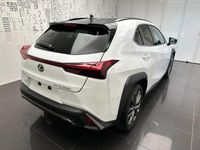 usata Lexus UX Hybrid 4WD Design nuova a Cuneo