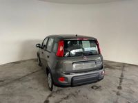 usata Fiat Panda 1.0 1.0 FireFly S&S Hybrid