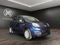 Usata Fiat Panda Easy 69 CV (50 kW) 2017 Grigio cemento pastello Utilitaria