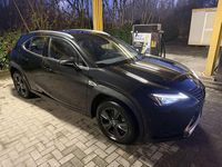 Usata Lexus UX 250h Business Edition 152 CV (111 kW) 2022 Bianco perla met. SUV