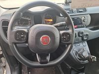 Usata Fiat Panda 4x4 S 95 CV (69 kW) 2017 Argento Utilitaria