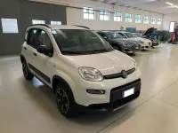 Usata Fiat Panda 4x4 S 86 CV (63 kW) 2020 Bianco Utilitaria