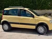 Usata Fiat Panda 4x4 Climbing 60 CV (44 kW) 2009 Giallo Utilitaria