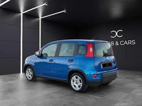Usata Fiat Panda City Life 69 CV (50 kW) 2024 Blu met Utilitaria